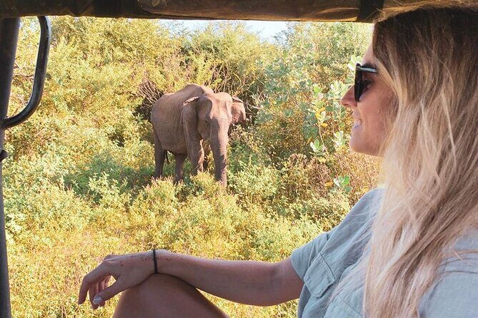 Udawalawe Day Trip from Kalutara - Starting the Day with a Safari at Udawalawe National Park