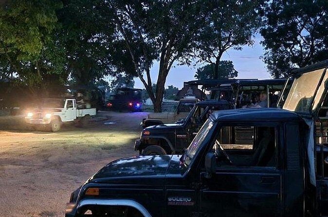 Udawalawe Jeep Safari from Bentota Aluthgama Berawula Area - FAQ