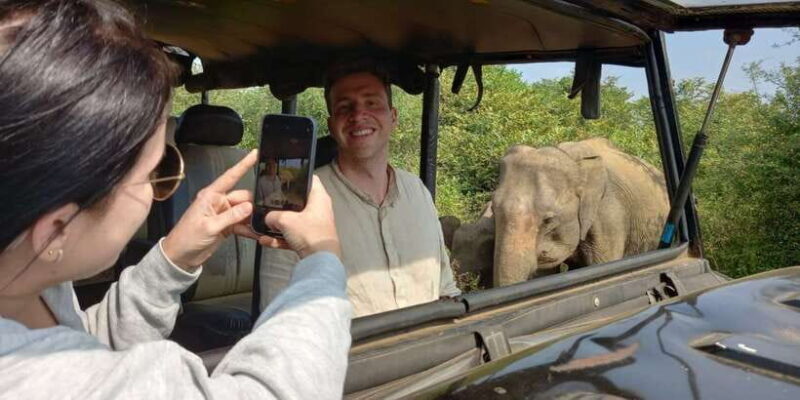 Udawalawe National Park - 7 Hours Private Safari tour - Key Points