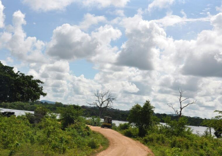 udawalawe-national-park-private-full-day-safari