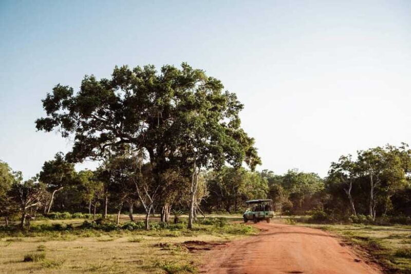 Udawalawe National Park: Private Safari From Colombo - FAQ