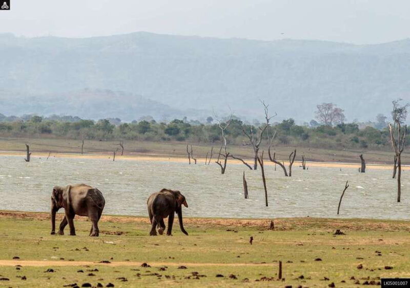 udawalawe-national-park-private-safari-transit-home-visit