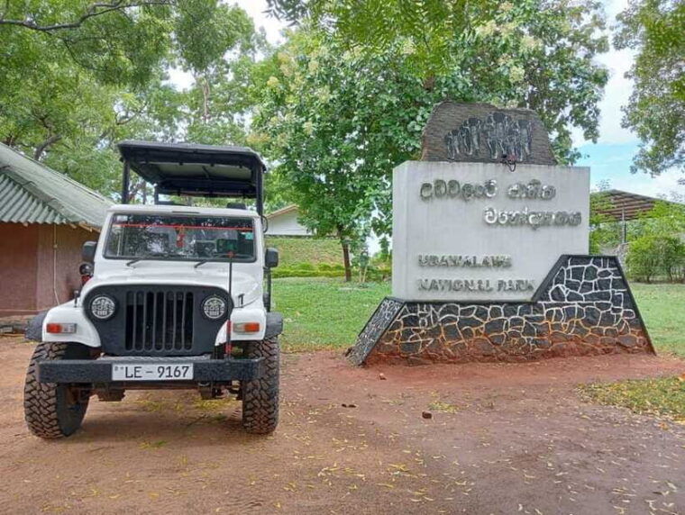 udawalawe-national-park-safari-adventure-privet-tour