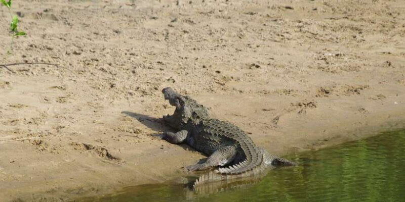 udawalawe-national-park-safari-and-elephant-transit-home