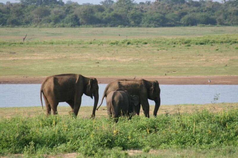 udawalawe-national-park-safari-elephant-transit-home-tour-2