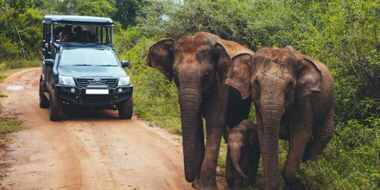 udawalawe-national-park-safari-elephant-transit-home-tour-3