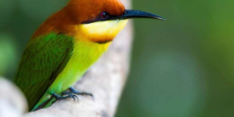 udawalawe-national-park-safari-elephant-transit-home-tour-3