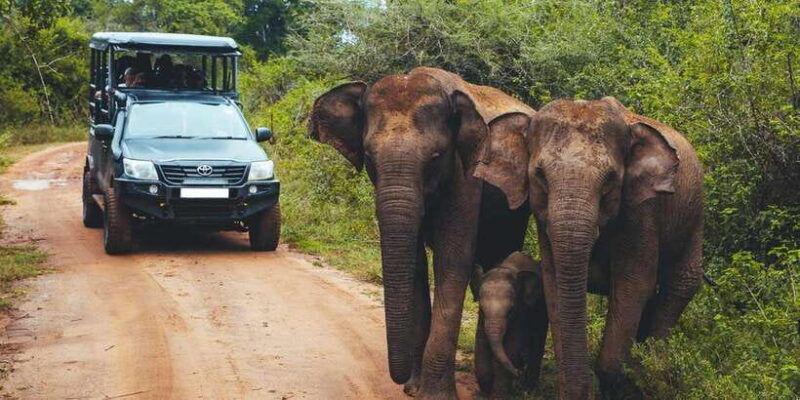 udawalawe-national-park-safari-elephant-transit-home-tour