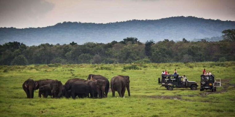 udawalawe-national-park-safari-elephant-transit-home-tour