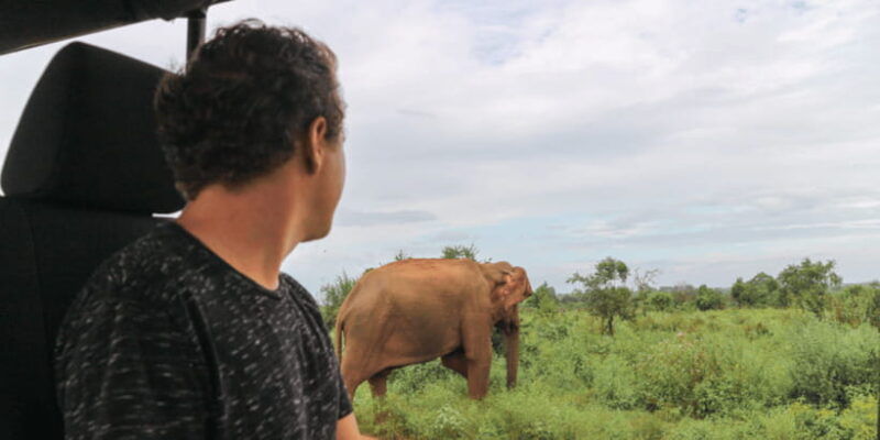 udawalawe-national-park-safari-elephant-transit-home-visit