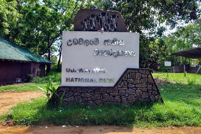 Udawalawe National Park Safari from Unawatuna - An In-Depth Look at the Udawalawe Safari Experience