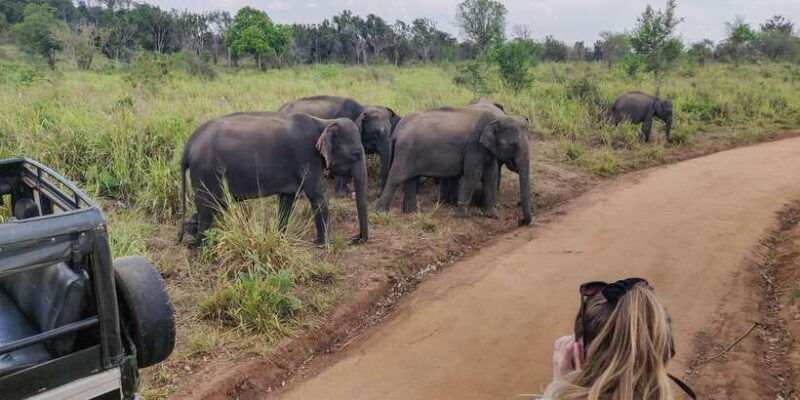 udawalawe-national-park-safari-from-weligama