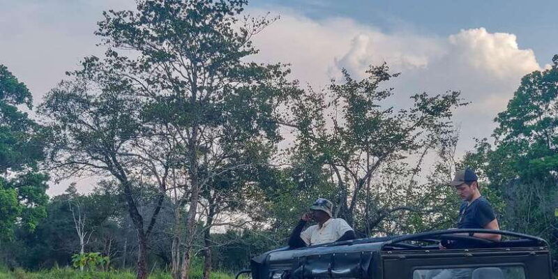 udawalawe-national-park-safari-from-weligama