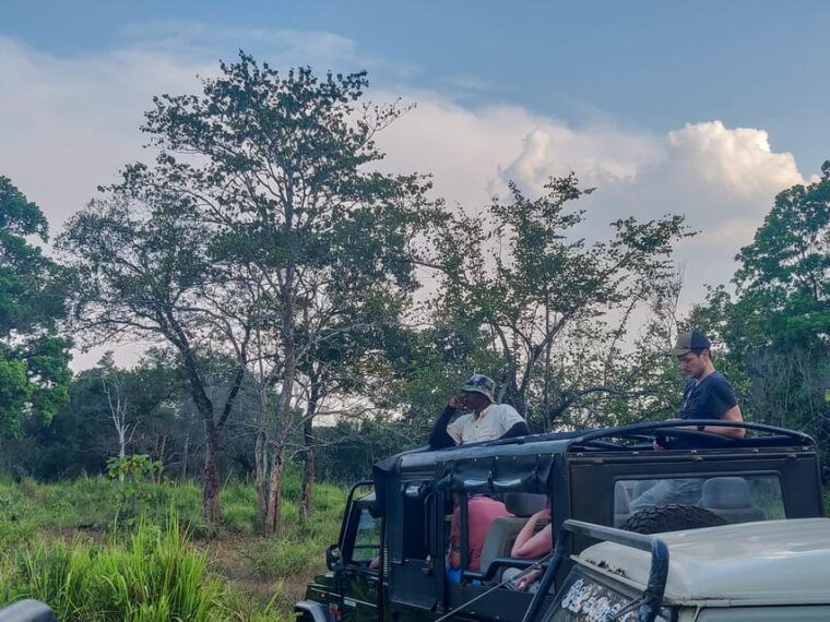 udawalawe-national-park-safari-from-weligama