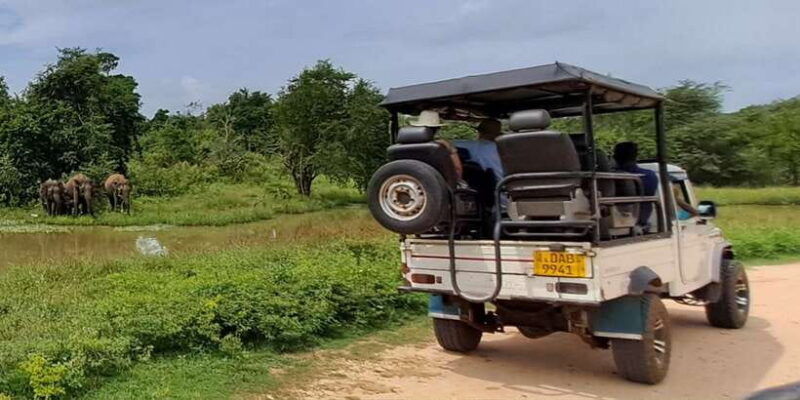 udawalawe-national-park-safari-tour-2