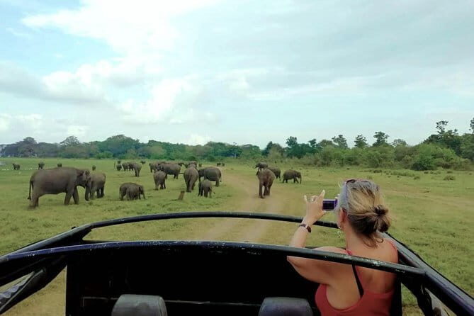 Udawalawe National Park Safari Tour - Final Thoughts