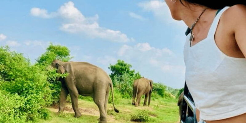 udawalawe-national-park-safari-with-experienced-driver