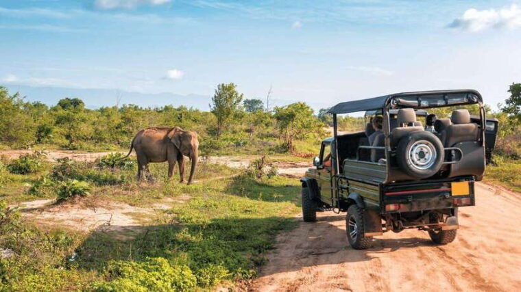 udawalawe-national-park-safari-with-pickup-drop-off