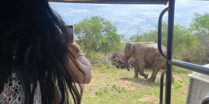udawalawe-national-park-wildlife-safari-from-bentota