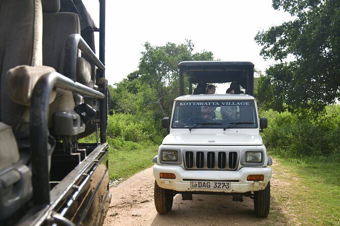 Udawalawe National Park Wildlife Safari Tours - Why This Tour Works Well