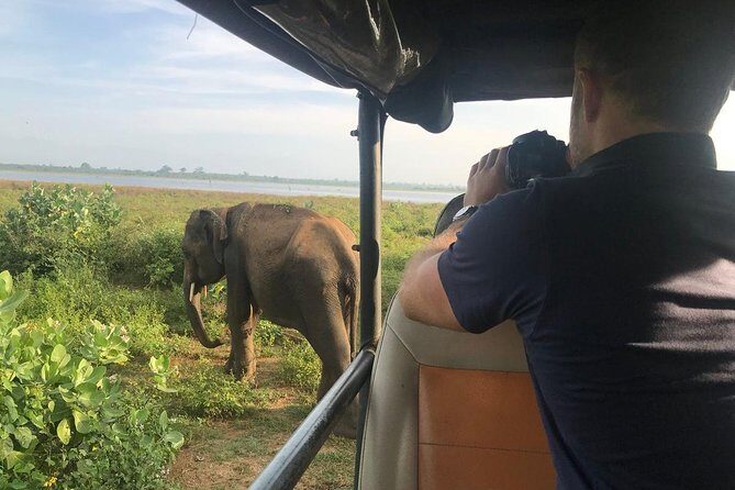 Udawalawe National park with Elephant Transit Home From Colombo - FAQ