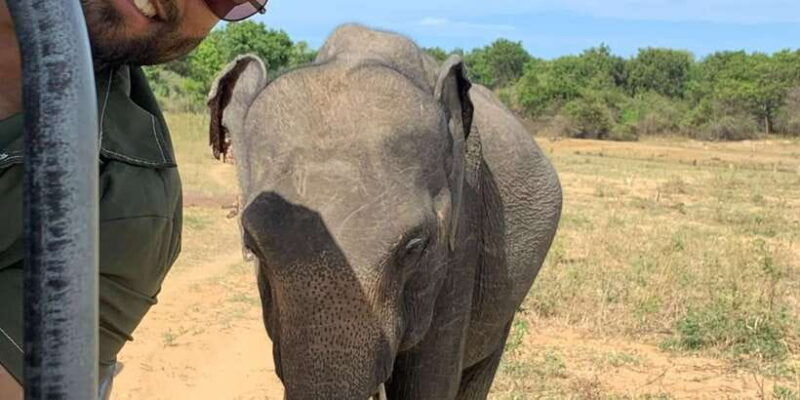 udawalawe-national-park-with-safari-jeep-entrance-ticket