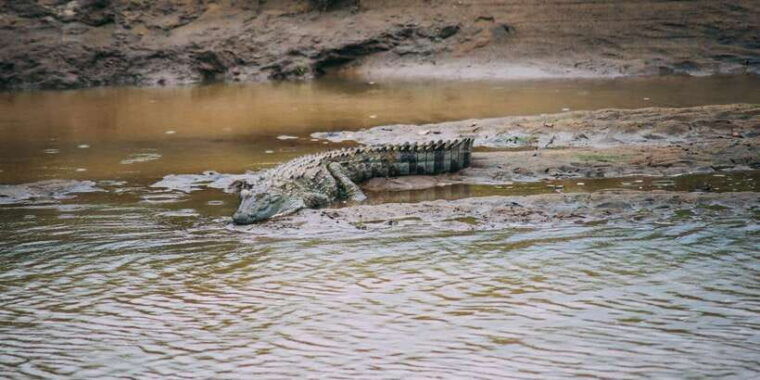 udawalawe-private-safari-all-inclusive-day-trip-with-lunch