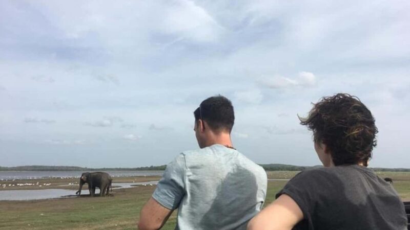 Udawalawe: Private Safari with Picnic and Hotel Pickup - Key Points