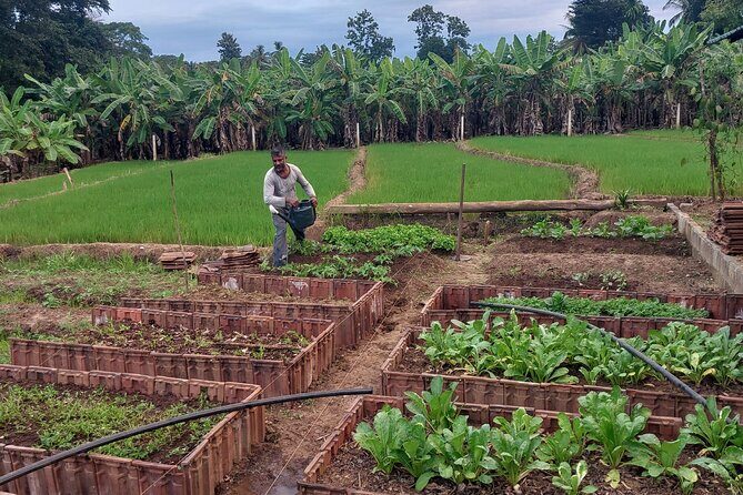 Udawalawe Safari and Authentic Sri Lankan Village Experience - The Sum Up: Who Should Consider This Experience?