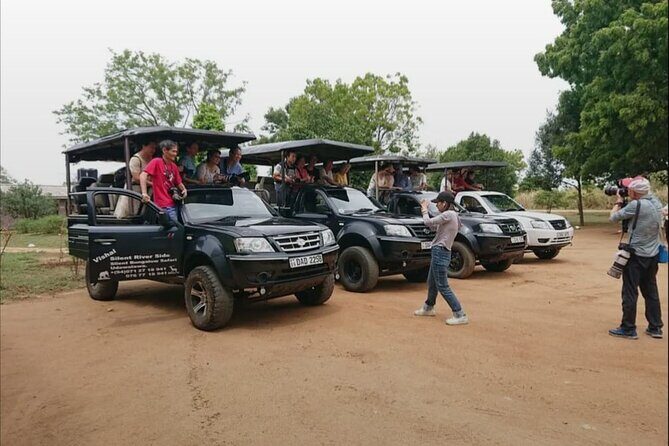 Udawalawe Safari Day Trip Elephants and Wildlife from Galle - Key Points