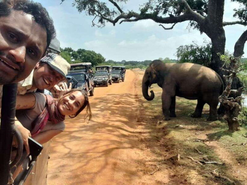 udawalawe-safari-w-tush-pickup-from-ella-drop-at-tangalle