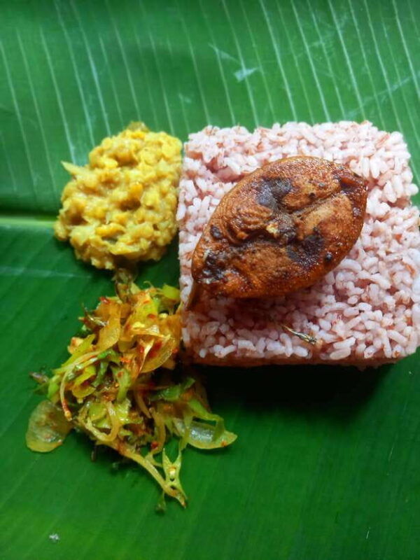 udawalawe-udawalawe-cooking-experience-with-local-family