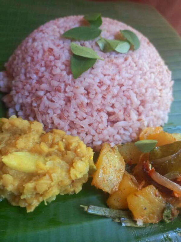 udawalawe-udawalawe-cooking-experience-with-local-family