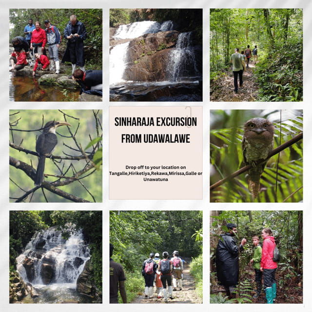 udawalawesinharaja-day-tour-drop-off-mirissa-galle-tangalle
