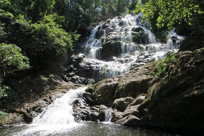 UDZUNGWA NATIONAL PARK AND WATERFALLS - 3 Days - Key Points