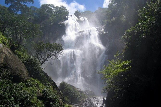UDZUNGWA NATIONAL PARK AND WATERFALLS - 3 Days - The Itinerary Breakdown: What to Expect Day-by-Day