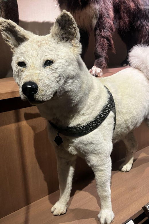 ueno-and-yanaka-day-walking-tour-culture-art-and-old-tokyo