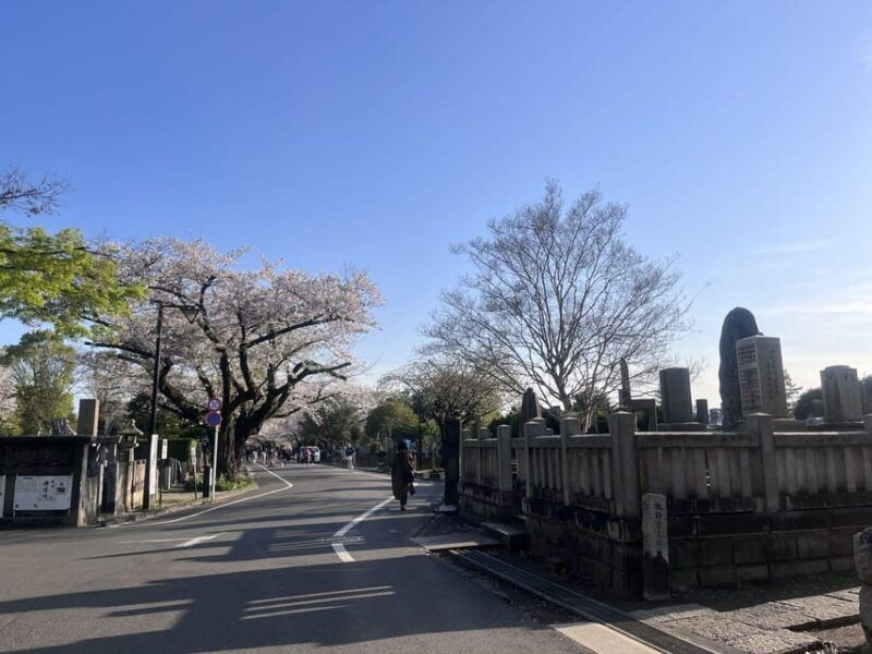 ueno-and-yanaka-day-walking-tour-culture-art-and-old-tokyo