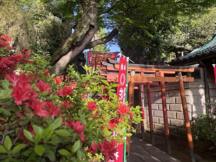 ueno-and-yanaka-day-walking-tour-culture-art-and-old-tokyo