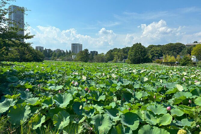 Ueno Park and Ameyoko Street Food Market Half Day Walking Tour - FAQs