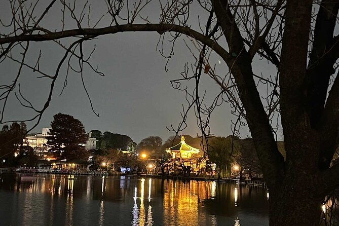 ueno-private-walking-tour-and-night-food-tour