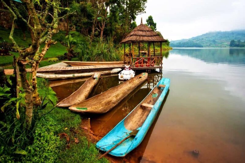 Uganda: 12-Day Gorillas & Wildlife Vacation Safari - Key Points