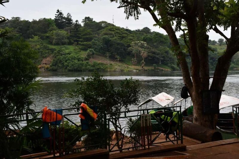 Uganda: 3-Day Gorilla Trekking Safari - Key Points