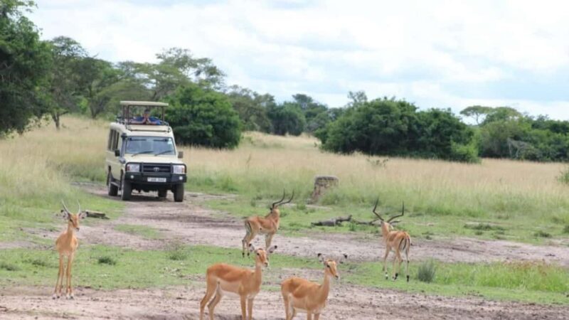 Uganda: 3-Day Lake Mburo National Park Adventure Tour - Exploring Lake Mburo: A Natural Gem in Uganda