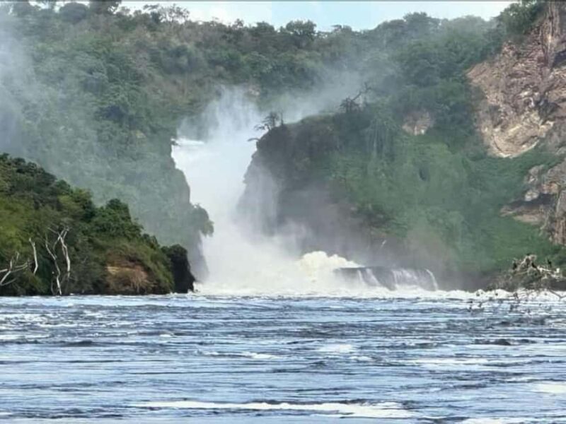 Uganda: 3-Day Murchison Falls National Park Safari and Big 5 - Introduction