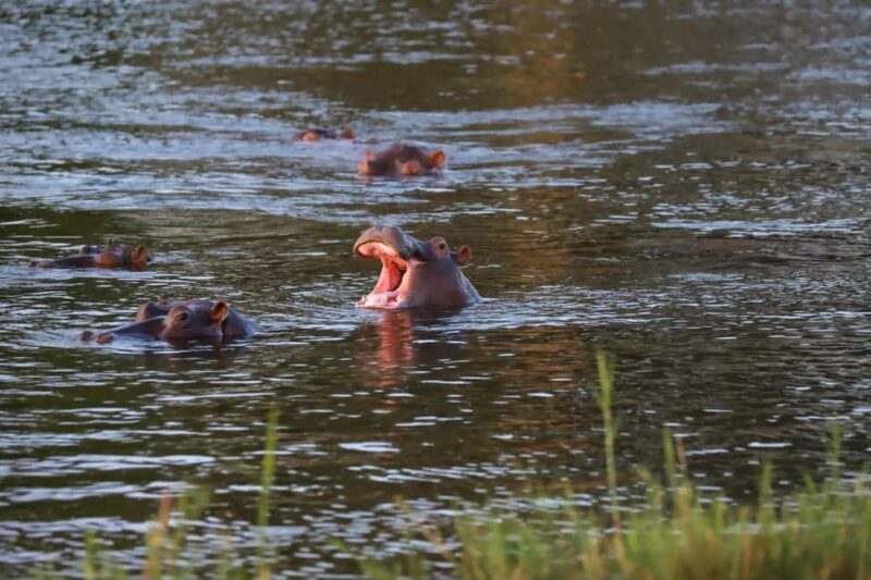 Uganda: 3 Days Murchison Falls National Park Guided Tour - What to Bring and Important Tips