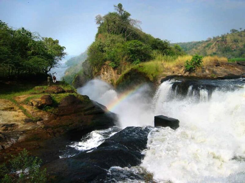 Uganda: 3-Days Murchison Falls National Park Safari - Value and Overall Experience