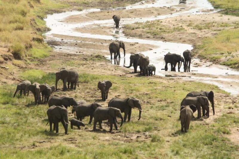 Uganda: 3-Days Murchison Falls National Park Safari - Final Thoughts