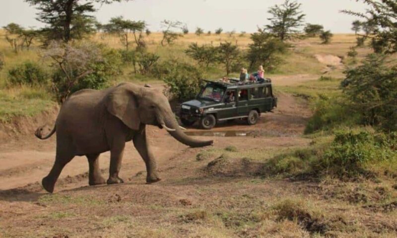 Uganda: 6-Days Safari to Murchison Falls and Queen Elizabeth - Key Points
