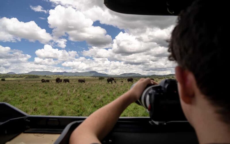 Uganda: 9-Day Roundtrip with Chimpanzee Tracking - How Value Stacks Up for Travelers  